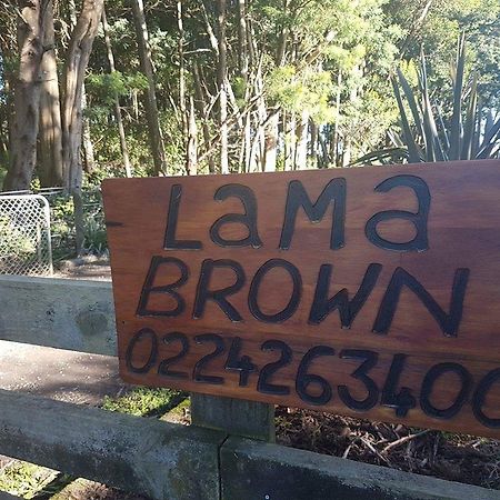 Lama Brown Quiet Rural Cottage Levin Exterior photo