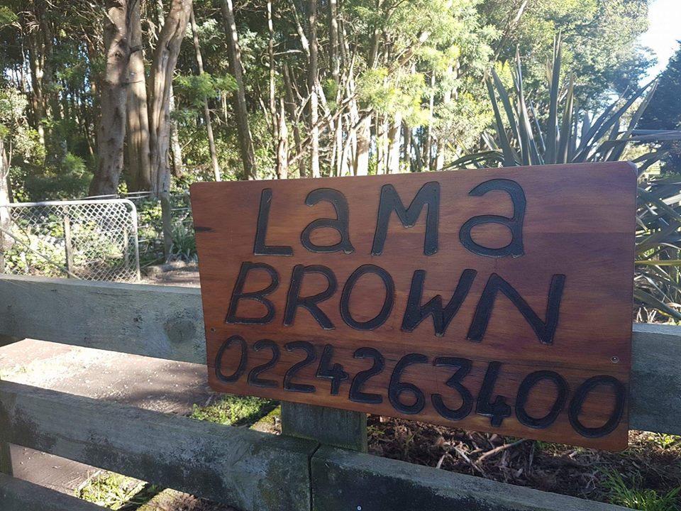 Lama Brown Quiet Rural Cottage Levin Exterior photo